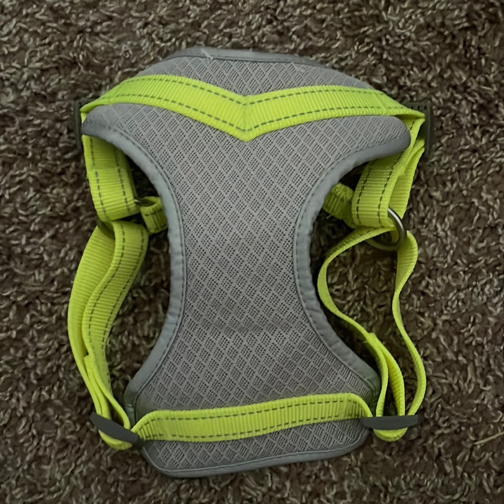 Boots and Barkley Mesh Harness